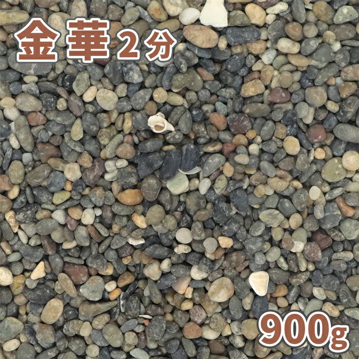 金華 2分 約5-10mm 900g【ゆうパケット:代引 日時指定不可】| 庭 砂利 おしゃれ 庭石 玉砂利 diy 敷石 販売 ガーデニング 園芸 ガーデン 玉石 敷砂利 化粧石 化粧砂利 サンプル 見本 少量 玉石…