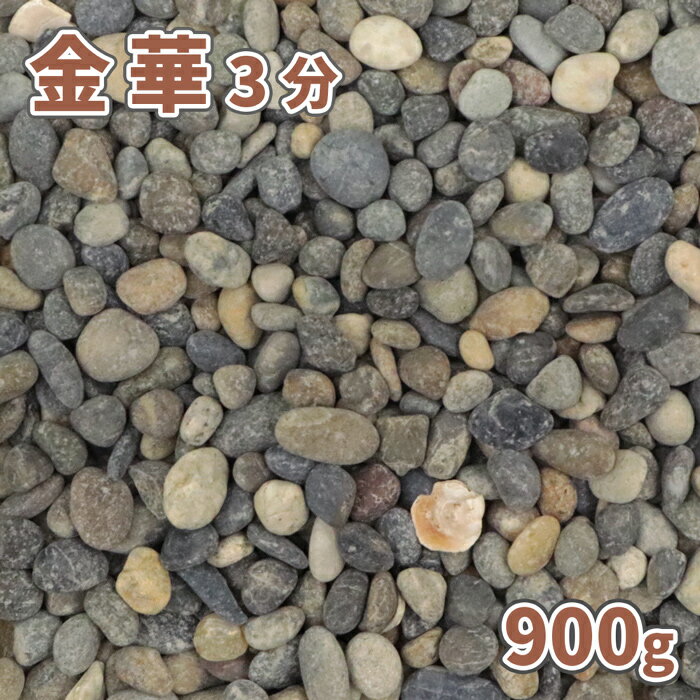 金華 3分(約5-20mm) 900g【ゆうパケット