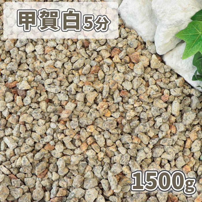 甲賀白砂利 5分 (約14-21mm) 1500g | 砂利