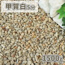 ＼20日はポイント2倍 ／甲賀白砂利 5分 (約14-21mm) 1500g 砂利 庭 diy 白 ベージュ 敷石 敷く 庭石 おしゃれ 見本 サンプル 1.5キロ 少量 お試し 販売 マルチング ジオラマ 化粧石 化粧砂利 鉢 プランター 花壇 中粒 ガーデニング 園芸 ガーデン 洋風 和風