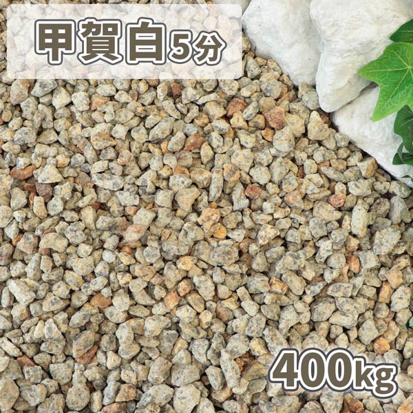 ݥ5ܢޥ饽!ò 5ʬ (14-21mm) 400kg (20kg20) |       ߤ  ...