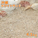 ＼30日,1日ポイント2倍!／沖縄ホワイトサンド 4.5kg | 砂 庭 おしゃれ 白 ホワイト 白砂 小粒 細かい 海砂 ホワイトサンド 販売 ガーデン diy ガーデニング 園芸 砂遊び 砂場 サンゴ 貝 白い砂 敷き砂 敷砂 水槽 アクアリウム ハンドメイド クラフト 工作