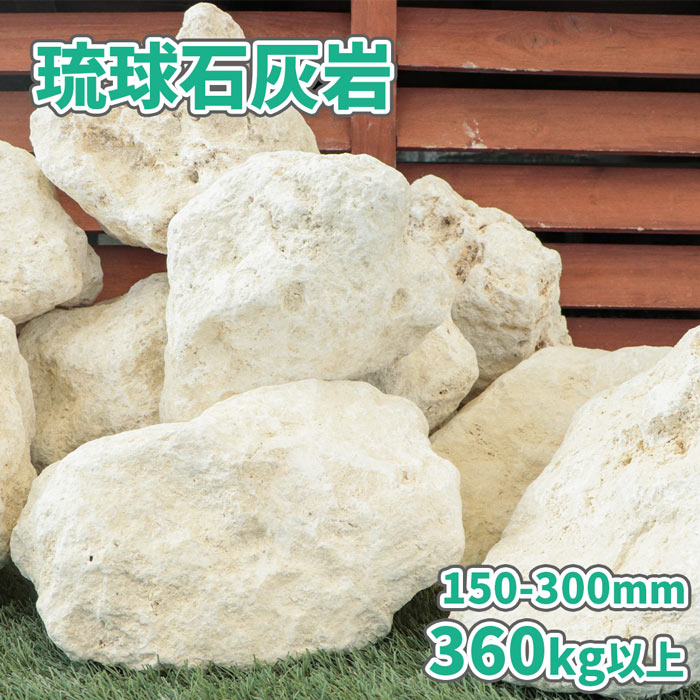 琉球石灰岩 150-300mm 360kg (18kg以上×20