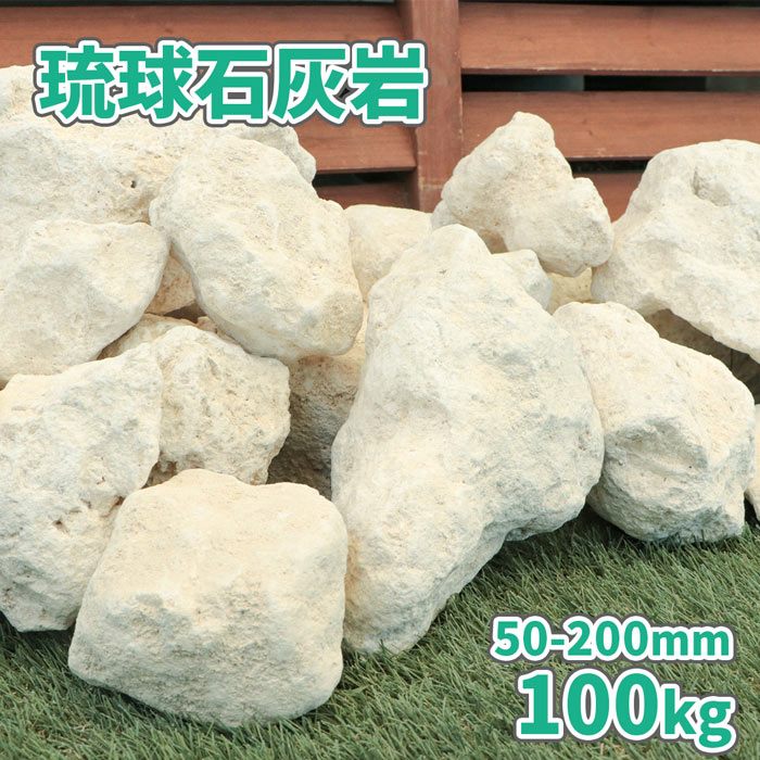 ＼ポイント5倍♪マラソン中!／琉球石灰岩 50-200mm 100kg (10kg×10箱) | アジアン エスニック ロック ストーン ロックガーデン ぐり石 ごろた ガーデニング ガーデン ドライガーデン リゾート ベージュ 庭 石 岩 石灰 石垣 石材 縁石 割栗 打ち水 南国 沖縄