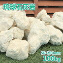 \ポイント5倍♪マラソン中!/琉球石灰岩 50-200mm 100kg (10kg×10箱) | アジアン エスニック ロック ストーン ロックガーデン ぐり石 ごろた ガーデニング ガーデン ドライガーデン リゾート ベージュ 庭 石 岩 石灰 石垣 石材 縁石 割栗 打ち水 南国 沖縄