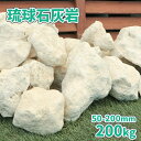 \ポイント5倍♪マラソン中!/琉球石灰岩 50-200mm 200kg (10kg×20箱) | アジアン エスニック ロック ストーン ロックガーデン ぐり石 ごろた ガーデニング ガーデン ドライガーデン リゾート ベージュ 庭 石 岩 石灰 石垣 石材 縁石 割栗 打ち水 南国 沖縄