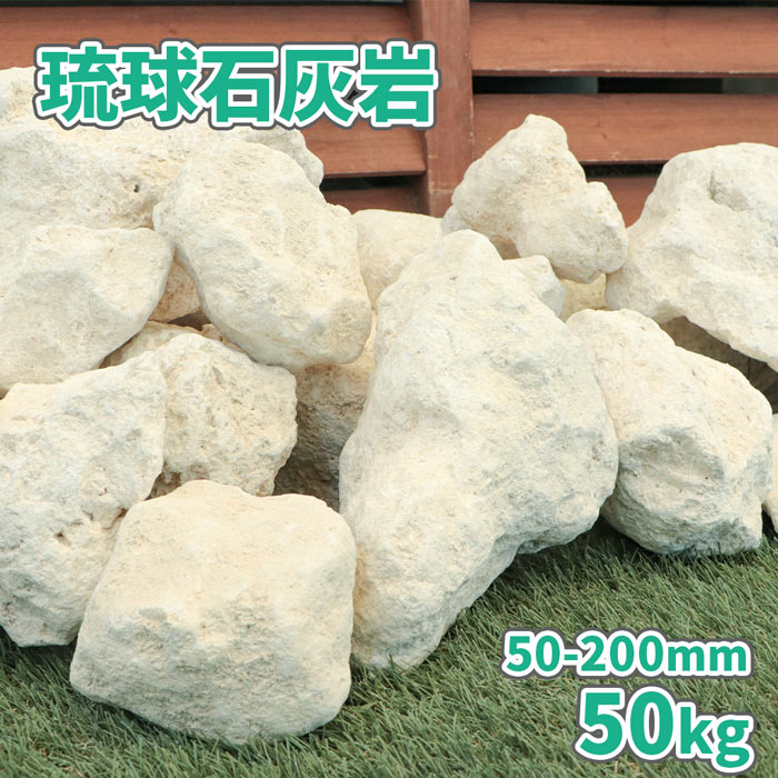 ＼18日,20日ポイント2倍／琉球石灰岩 50-200mm 50kg (10kg×5箱) | アジア ...