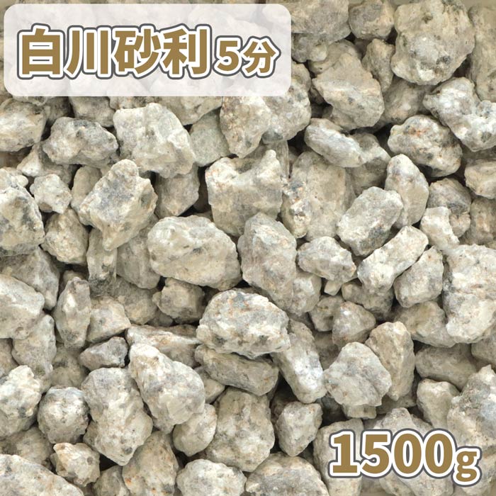 白川砂利 5分 (約14-21mm) 1500g [1000円クーポン付] | 庭 砂利 おしゃれ 敷石 庭石 ガーデニング ガーデン 敷き詰め 砂利石 敷く 化粧砂利 和風 洋風 盆栽 鉢 プランター 花壇 化粧石 モダン 庭園 サンプル 見本 少量 庭の砂利