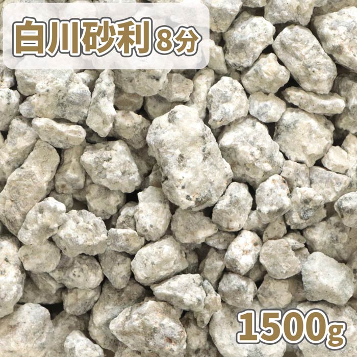 쳤ŷԾŹ㤨֡ݥ10!ѡSALE! 8ʬ (21-30mm 1500g [1000ߥݥ] |          ǥ ǥ˥ γ  ƥꥢ ȭ ߤͤ ڱ ߤ  ץ    ܻ 츩פβǤʤ1,480ߤˤʤޤ