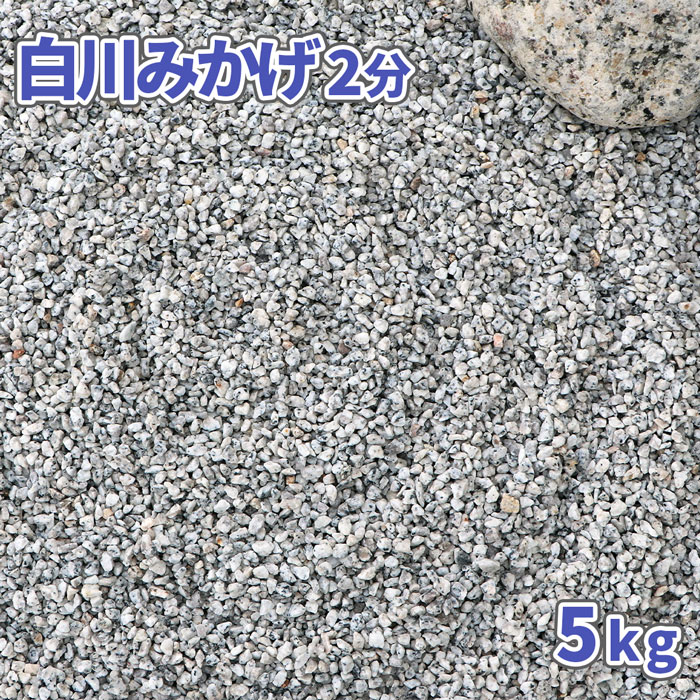 白川みかげ砂利 2分 約1-5mm 5kg | 庭 石 砂利 庭石 おしゃれ 白 御影 diy 敷石 ガーデニング 園芸 ガーデン 枯山水 和風 坪庭 洋風 庭園 化粧石 細かい 化粧砂利 小粒 敷砂利 鉢 植木鉢 プラ…