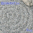 白川みかげ砂利 2分 約1-5mm 5kg | 庭 石 砂利 庭石 おしゃれ 白 御影 diy 敷石 ガーデニング 園芸 ガーデン 枯山水 和風 坪庭 洋風 庭園 化粧石 細かい 化粧砂利 小粒 敷砂利 鉢 植木鉢 プラ…