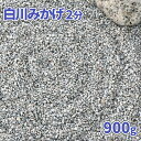 白川みかげ砂利 2分 約1-5mm 900g【ゆうパケット:代引 日時指定不可】| 庭 砂利 おしゃれ 庭石 石 白 御影 敷石 ガーデニング diy 見本 サンプル お試し 少量 グレー 和風 坪庭 枯山水 鉢 プラ…