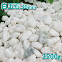 東海砂利 楽天市場店で買える「白玉石 30mm 1500g【1000円クーポン付】| 庭 石 おしゃれ 白 ホワイト 玉石 玉砂利 庭石 敷石 少量 約1.5キロ 大きめ 大粒 和風 洋風 ガーデン 園芸 diy 化粧砂利 化粧石 マルチング 鉢 植木 プランター 土隠し 庭に敷く 小石」の画像です。価格は1,480円になります。
