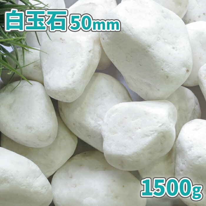 白玉石 50mm 1500g【1000円クーポン付】| 庭 砂利 おしゃれ 白 石 玉石 玉砂利 ホワイト 敷石 ガーデニ..