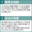 tokaijari:10004258のサンプル画像2