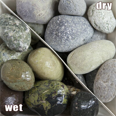 【送料無料】大磯 1.5寸 5kg | 約40-60mm 砂利 玉砂利 庭 玉石 ガーデン 園芸 アジアン 敷き砂利 和 販売 石 雑草対策 じゃり ジャリ おしゃれ 庭石 ガーデニング 園芸用品 エクステリア ベランダ 防犯対策 リフォーム 庭園 造園