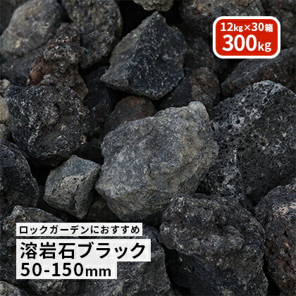 【送料無料】溶岩石 ブラック 50-150mm 300kg (10kg以上×30箱) | 庭 岩 石 溶岩 岩石 火山 火山岩 黒 ブラック 天然 ロックガーデン 花壇 縁石 庭石 石庭 ガーデニング レイアウト アクアリウム ビオトープ 水槽 打ち水 サイズお任せ 形状お任せ