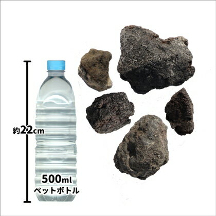 【送料無料】溶岩石 ブラック 50-150mm 300kg (10kg以上×30箱) | 庭 岩 石 溶岩 岩石 火山 火山岩 黒 ブラック 天然 ロックガーデン 花壇 縁石 庭石 石庭 ガーデニング レイアウト アクアリウム ビオトープ 水槽 打ち水 サイズお任せ 形状お任せ