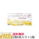 【送料無料】シード 2ウィークピュアマルチステージ【1箱6枚入り×1箱】SEED 2week 遠近両用 2週間
