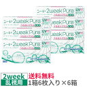 【6箱セット送料無料】シード 2ウィークピュアうるおいプラス乱視用【6枚入り×6箱】2ウィークピュア 2week 乱視用 まとめ買い 2週間