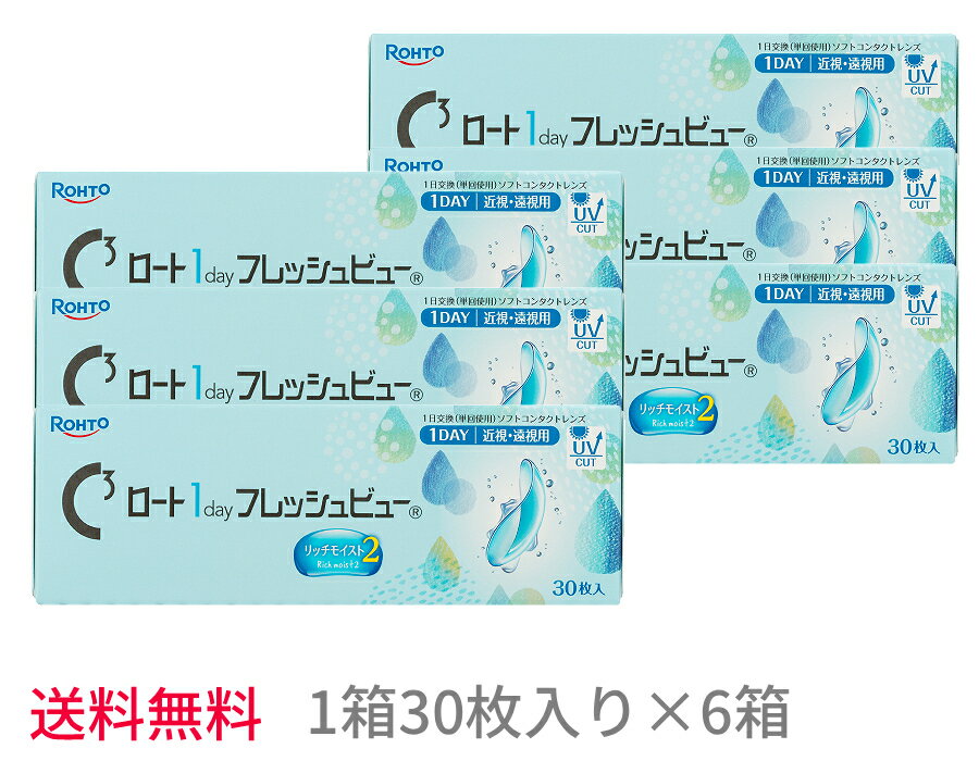【6箱セット送料無料】ロート ワンデーフレッシュビューリッチモイスト2【1箱30枚入り×6箱】1da ...
