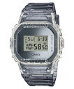 CASIO JVI G-SHOCK GVbN W[VbN COf DW-5600SK-1