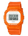 CASIO JVI G-SHOCK GVbN W[VbN COf DW-5600WS-4