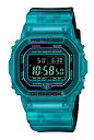 CASIO JVI G-SHOCK GVbN W[VbN COf DW-B5600G-2