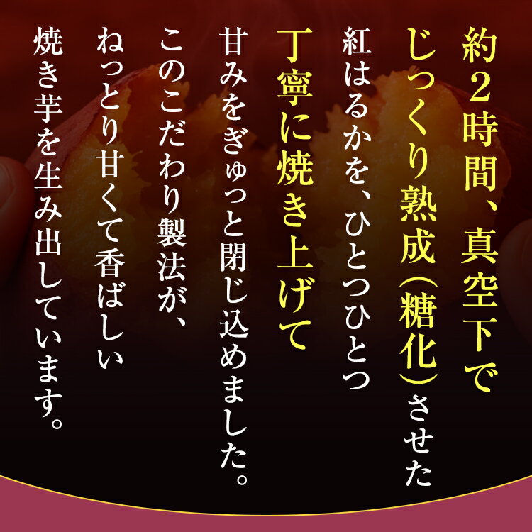 [�� �ȤϤ뤫] ��ī���٤����Ƥ��� ̵ź�� ����� ���� �Ƥ��� �Ť� ���Ĥޤ��� �����Ի��� ̩�� ������ �ץ쥼��� ������ ������ �䤭���� ������ �������� �ͤäȤ� ���äȤ� ����� �ڻ� �� �������å� �֤����� ʢ���� ��ʪ���ݡ���GI