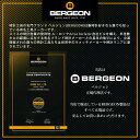 時計工具 8745用 ピン抜き替先 φ0.4 0.6 0.8 0.9 1.5mm 万能バンド調整器用 BERGEON ベルジョン BE6745G01 3