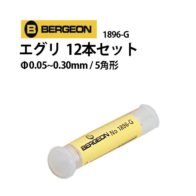 時計工具 エグリ カッティングブローチ 12本セット φ0.05～0.30mm 断面5角形 BERGEON ベルジョン BE1896-G