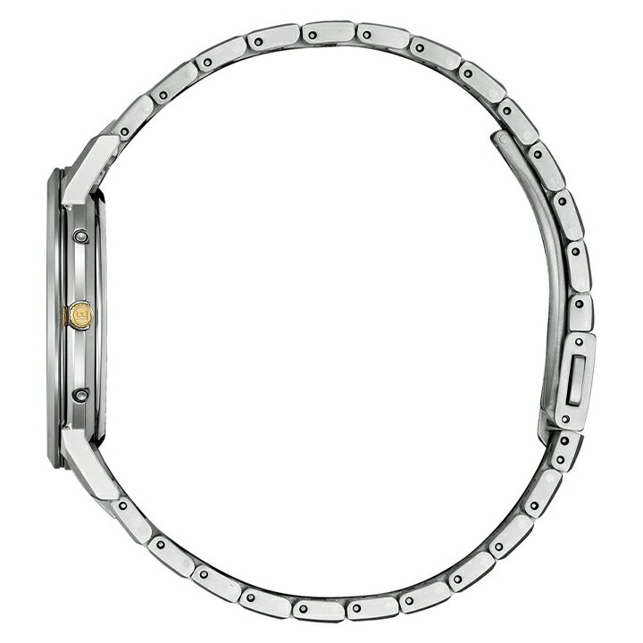 シチズン エクシード HINODE COLLECTION CB1144-60E CITIZEN EXCEED 腕時計 エコドライブ電波 ソーラー電波 アナログ チタン メタル 軽量 金 ゴールド 銀 シルバー 黒 ブラック 国内正規品 メンズ 3