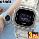 CASIO G-SHOCK カシオ Gショック ジーショック スケルトン 反転液晶 DW-5600S ...