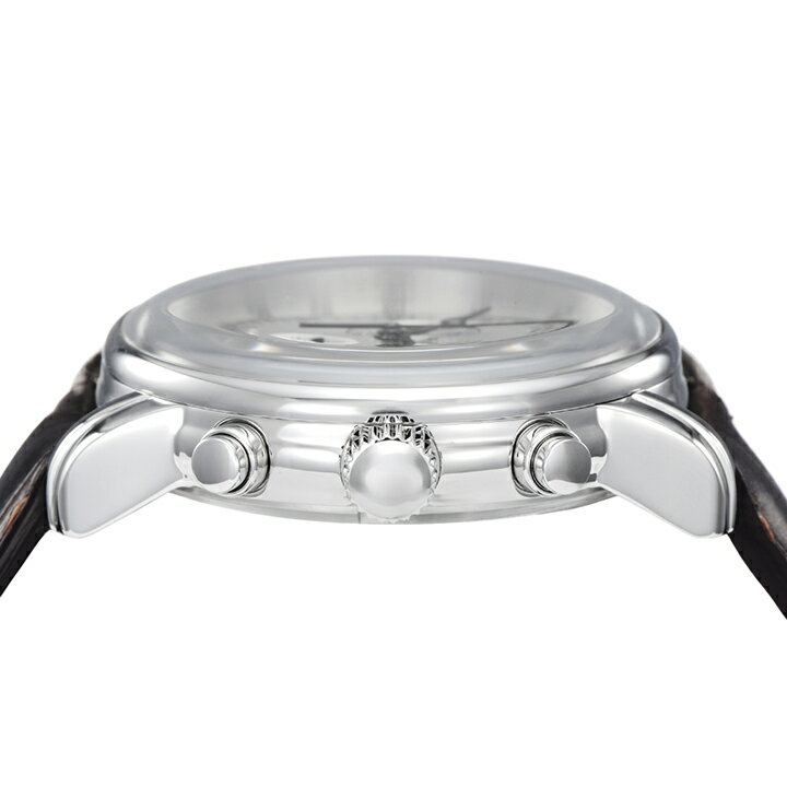ツェッペリンZEPPELIN76801NSpecialEdition100YearsZEPPELINZEPPELIN号100周年記念モデル正規品腕時計