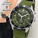 y񂹁zV`Y RNV GRhCu \[[ NmOt J_[ AiO iC  J[L O[ CITIZEN COLLECTION AT2500-19W rv Ki Y