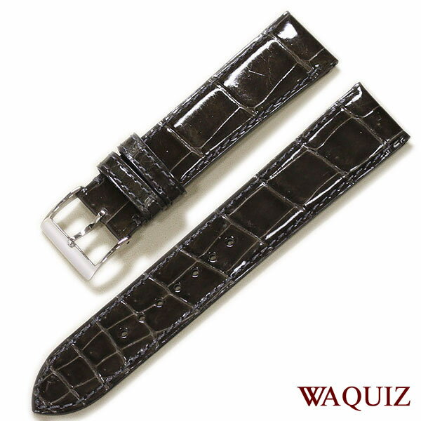 セイコータイムラボ『WAQUIZクロコダイル』