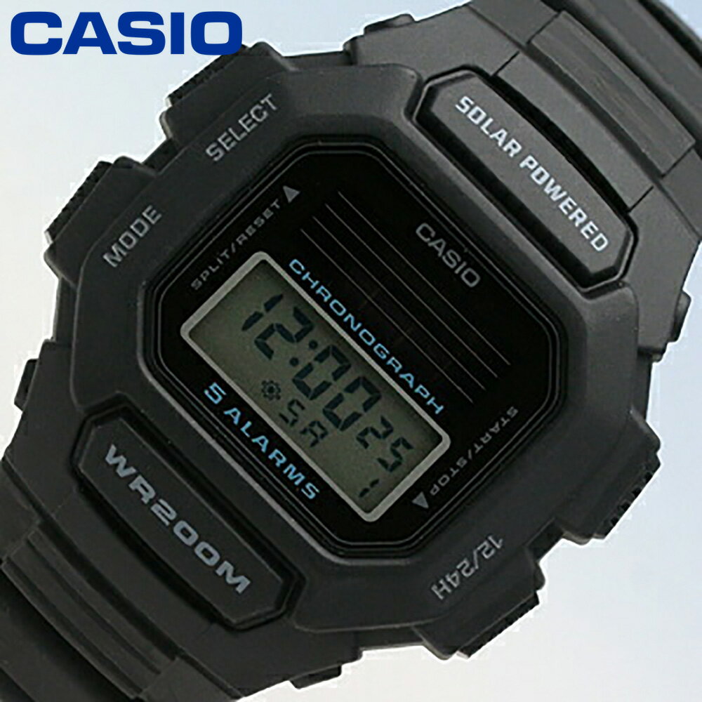 casio hdd 100