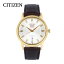 CITIZEN  Eco-Drive ɥ饤ӻ   顼 ʥ 3 ƥ쥹 쥶 ֥饦  С AW0102-13Aץ쥼 ե 1ǯݾ ̵ 