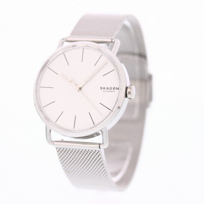 skagen skw6399