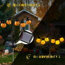【2本入り】ハロウィン 飾り LED ガーデンライト 屋外 ソーラー イルミネーションライト かぼちゃライト 目玉 眼球 おしゃれ 置き型 埋め込み式 ソーラー...