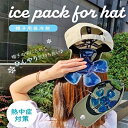 帽子用 保冷剤 あたま ひんやり パット 冷却シート キャップ インナー 涼しい 冷たい 冷却 保冷 熱中症 対策 予防 帽子 メンズ レディース 大人 子供 ...