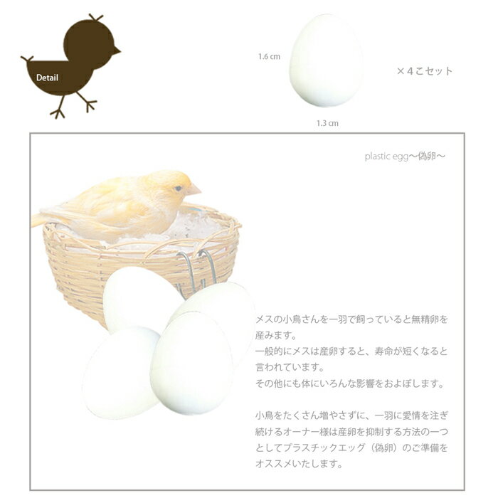 ファンタジーワールド FPI 4310 偽卵 プラスチックエッグ 84310711 （小鳥用偽卵） 4個入【ネコポス不可】