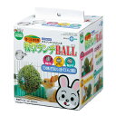 マルカン 牧草ランチBALL (MR-610) 【ネコポス不可】