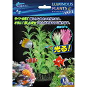 メーカー名／ブランド名ニッソー／NISSO／株式会社 マルカン ニッソー事業部ジャンルペット用品／鑑賞魚用品／熱帯魚用品／アクアリウム用品／水槽用品／装飾品商品名ルミナスプランツナイト M-2商品説明ライトの光で鮮やかな色合いを放ちます。蓄光材含有で暗闇でほのかに発光します。■商品サイズ：幅100×奥行50×高さ135mm商品区分ペット用品製造国中国広告文責株式会社MIFモバイル　072-997-0600商品について・予告なく「商品パッケージ」「容器のデザイン」「商品の仕様」が変更となる場合があり、お届けする商品と掲載画像または商品情報が異なる場合がございます。・並行輸入品に関しましては、海外仕様の商品もございます。ご理解の上ご購入をお願い致します。