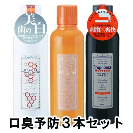 ʡۥԥ饹 ץݥ󥹸ͽ3ܥåȡʥ쥮顼եå塦ǥ󥿥ۥ磻ȥ˥󥰡 ա 600ml3ܡڤ...