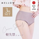 日本製 尿漏れパンツ(3枚組) Mellow Style 自然な見た目の ブレイブ吸水パンツ レディース 尿漏れ 尿失禁 女性用 運動 快適 無料ラッピング