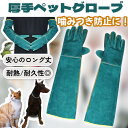 ペットグローブ 噛みつき防止 引っかき 犬 猫 かみつき 引っ掻き 厚手 保護グローブ 手袋 動物捕獲用