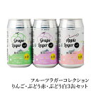 【常温】フルーツビールコレクション　3缶箱
