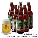 【冷蔵発送】ギフト クラフトビール 御殿場コシヒカリラガー500ml　6本セット