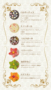 ポップショコラ詰め合わせ12本